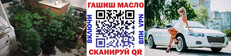 ТГК жижа  даркнет как зайти  Сальск 